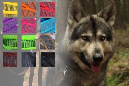 Super-Grip | gummierte Hundeleine aus PES | Schleppleine | 15 mm x 10 m lang | ohne Handschlaufe | kleiner Karabiner Super-Grip | gummierte Hundeleine aus PES | Schleppleine | 15 mm x 10 m lang | ohne Handschlaufe | kleiner Karabiner