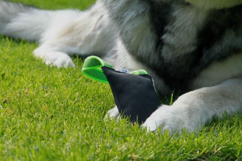 Hundespielzeug | Wurfspiel mit Griff | Apportier-Dummy | Größe M für mittelgroße Hunde | OEKO-TEX® Standard 100
