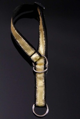 Hundehalsband - Zugstop - Goldfäden - zum Überstreifen - 15 mm Hundehalsband - Zugstop - Goldfäden - zum Überstreifen - 15 mm