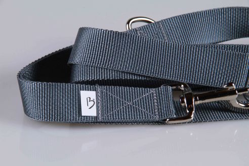 Leichte Hundeleine | Universal | Längenverstellbar | 220 cm lang | 30 mm breit | Grau