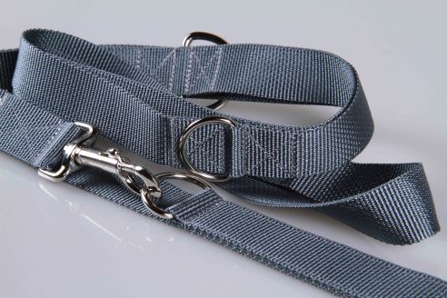 Leichte Hundeleine | Universal | Längenverstellbar | 220 cm lang | 30 mm breit | Grau
