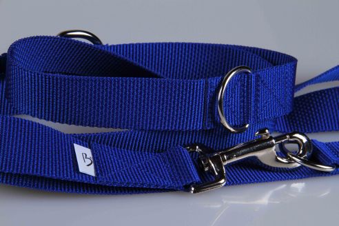 Leichte Hundeleine | Universal | Längenverstellbar | 220 cm lang | 30 mm breit | Koenigsblau
