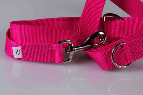 Leichte Hundeleine | Universal | Längenverstellbar | 220 cm lang | 30 mm breit | Pink