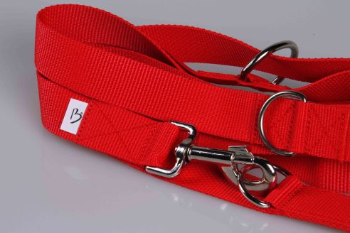 Leichte Hundeleine | Universal | Längenverstellbar | 220 cm lang | 30 mm breit | Rot