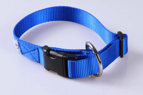 Hundehalsband aus Nylon | S | Soft und Glänzend | Farbwahl | 25 mm breit | Mit Zugentlastung | Umfang von 24 cm bis 35 cm