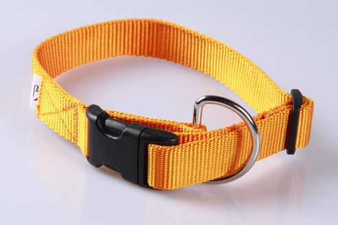 Hundehalsband aus Nylon | XL | Soft und Glänzend | Farbwahl | 25 mm breit | Mit Zugentlastung | Umfang von 41 cm bis 70 cm