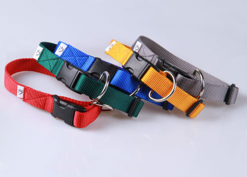 Hundehalsband aus Nylon | S | Soft und Glänzend | Farbwahl | 25 mm breit | Mit Zugentlastung | Umfang von 24 cm bis 35 cm