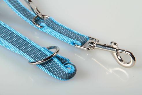 Super-Grip Strong Resistance | 4-fach verstellbare, gummierte Hundeleine aus PP | 20 mm Breite | ab 220 cm Länge | Karabinerwahl | wetterfest