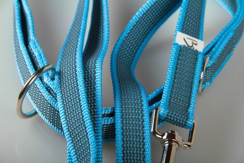 Super-Grip Strong Resistance | 4-fach verstellbare, gummierte Hundeleine aus PP | 20 mm Breite | ab 220 cm Länge | Karabinerwahl | wetterfest