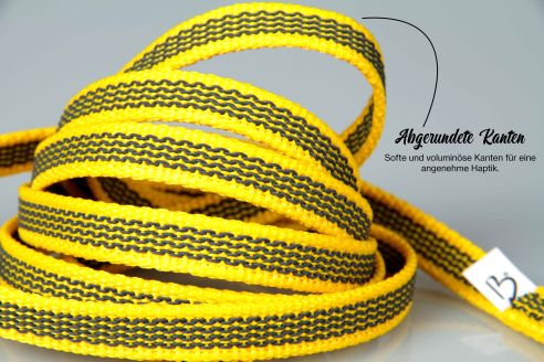 Super-Grip Strong Resistance | gummierte Cityleine aus PP | 12 mm Breite | 100 cm - 350 cm lang | ohne Handschlaufe | Karabinerwahl | wetterfest