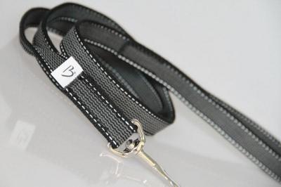 Reflektierende Cityleine  -  Antirutsch-Einwebung  -  Handschlaufe  -  2 x 120 cm