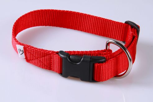 Hundehalsband aus Nylon | M | Soft und Glänzend | Farbwahl | 25 mm breit | Mit Zugentlastung | Umfang von 30 cm bis 45 cm