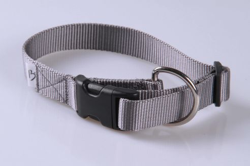 Hundehalsband aus Nylon | M | Soft und Glänzend | Farbwahl | 25 mm breit | Mit Zugentlastung | Umfang von 30 cm bis 45 cm