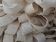 Baumwollband  -  Bindeband  -  16 mm  -  50 Meter  -  rohweiß-natur  -  Zum Verpacken und Dekorieren