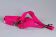Leichte Hundeleine | Universal | Längenverstellbar | 220 cm lang | 30 mm breit | Pink