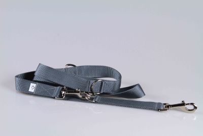 Leichte Hundeleine | Universal | Längenverstellbar | 220 cm lang | 30 mm breit | Grau
