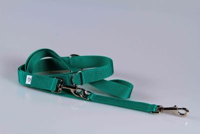 Leichte Hundeleine | Universal | Längenverstellbar | 220 cm lang | 30 mm breit | Smaragdgruen